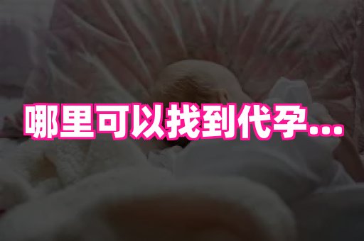 点点助孕网 1
