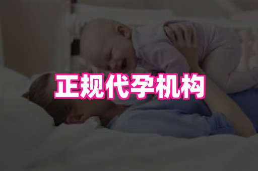 点点助孕网 2