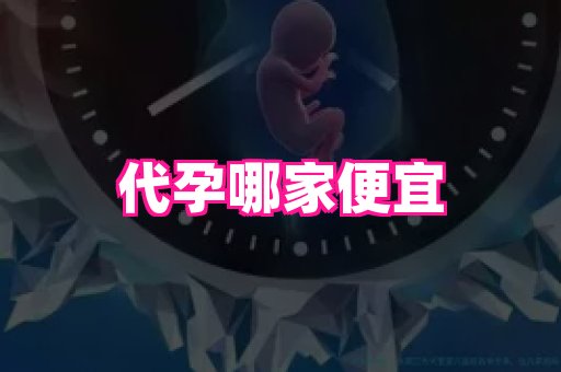 点点助孕网 3