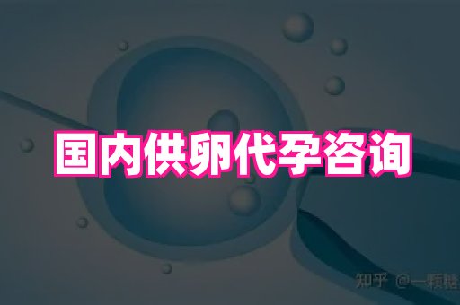 点点助孕网 4